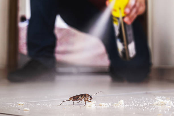 Best Exterminator Services  in Decatur, AR